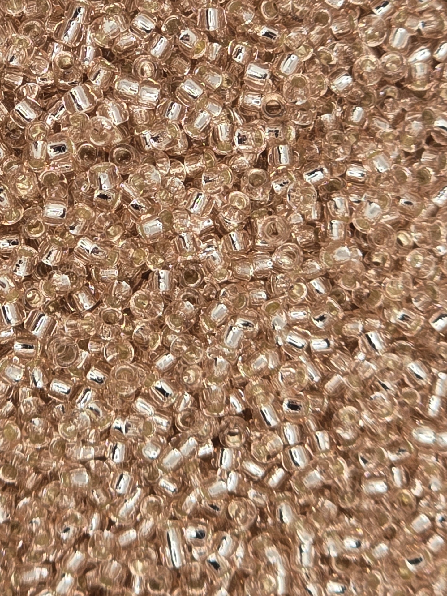 TOHO #15 Seeds - 31 - Silver Lined Rosaline - 5 gms