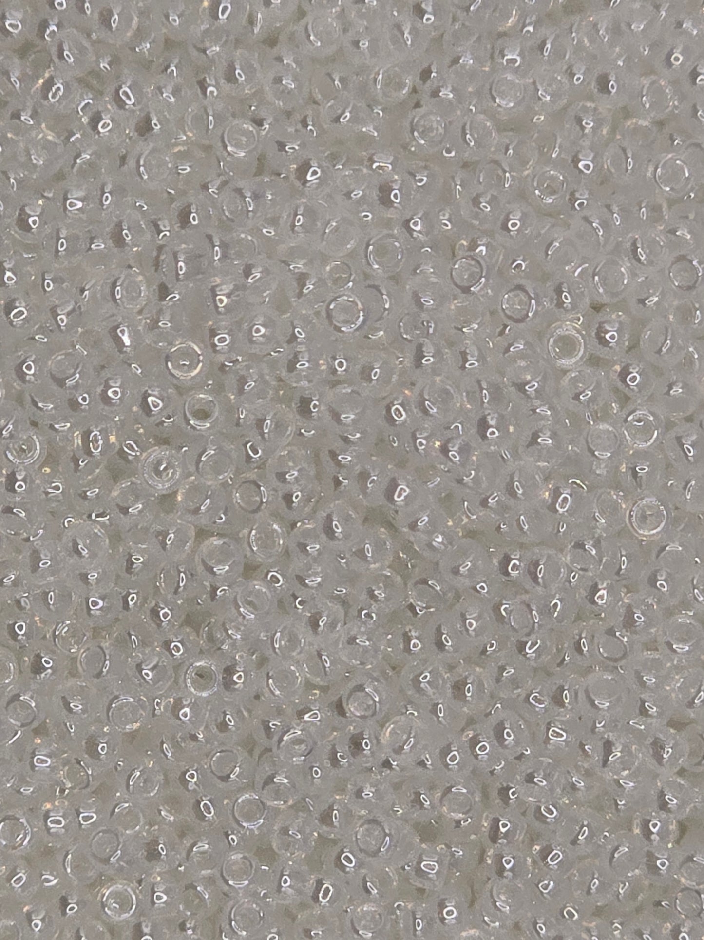 TOHO #15 Seeds - 141 - Ceylon Snowflake - 5 gms