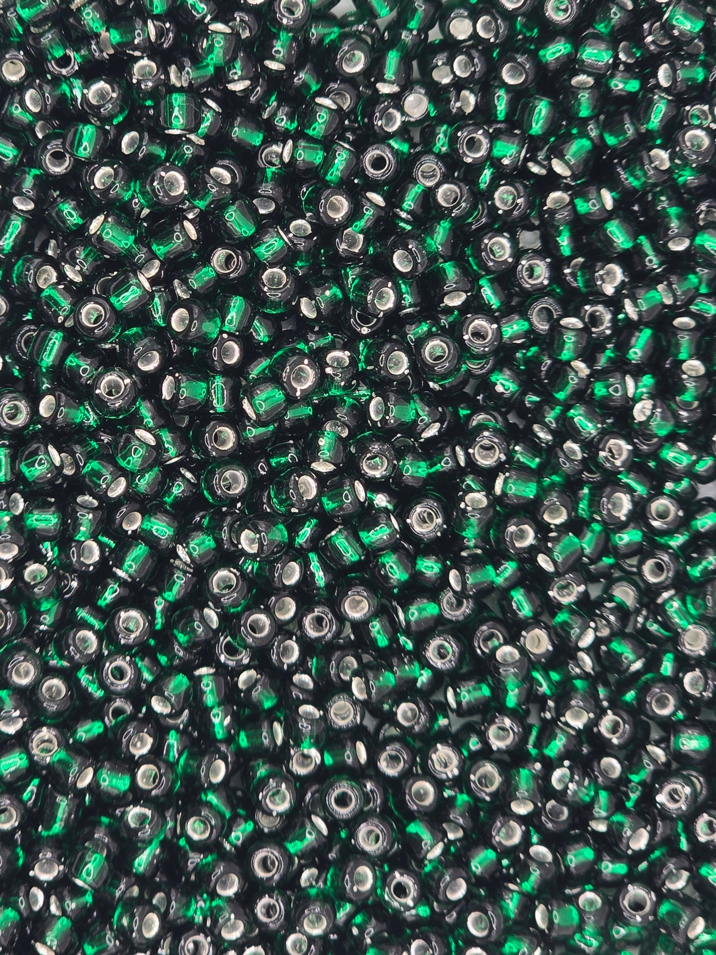 Czech #8 Seeds - Silver Lined Dark Green - 10 grams