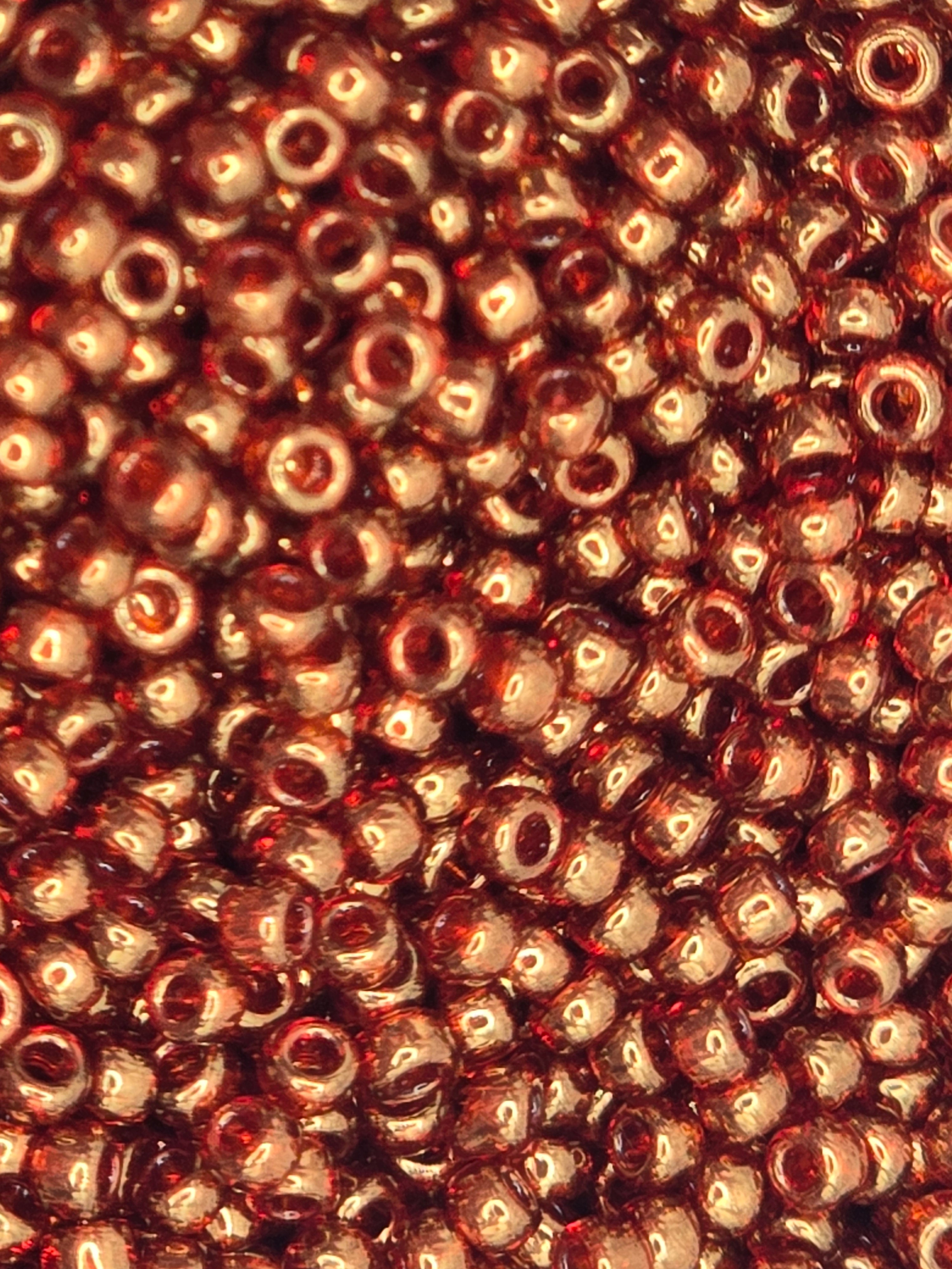 TOHO #11 Seeds - 329 - Gold Lustered African Sunset - 10 gms – The ...