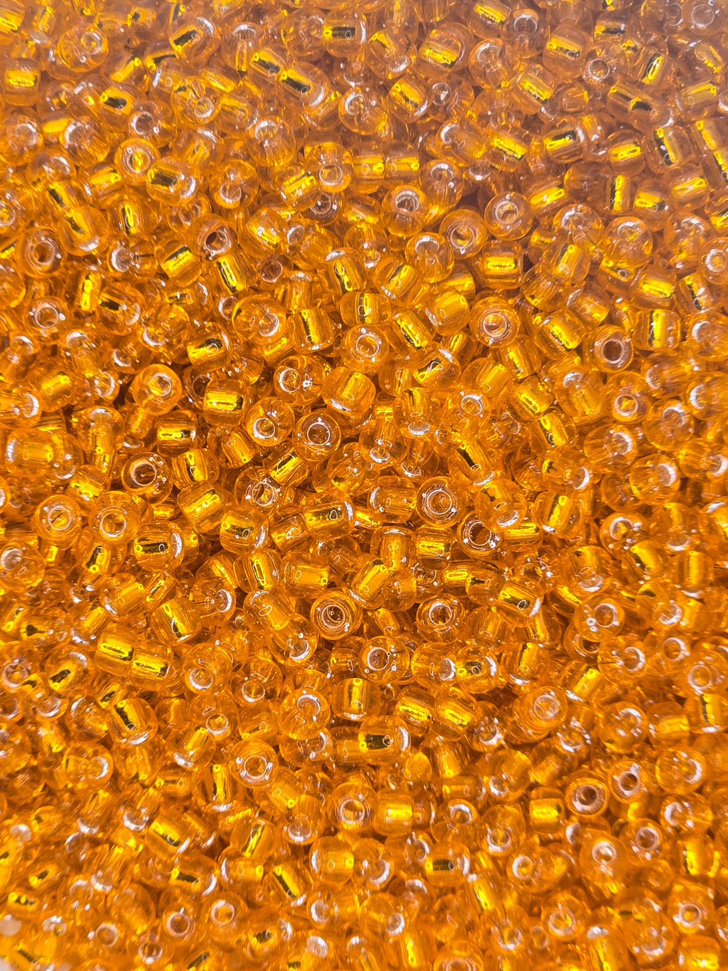 Czech #8 Seeds - Silver Lined Orange - 10 grams