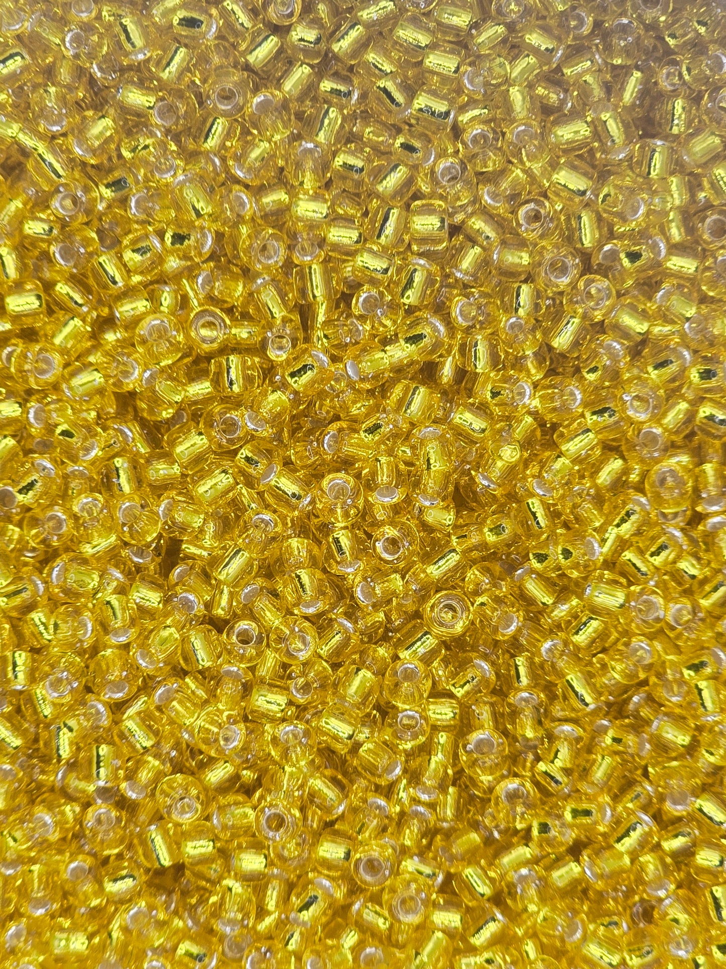 Czech #8 Seeds - Silver Lined Yellow - 10 grams