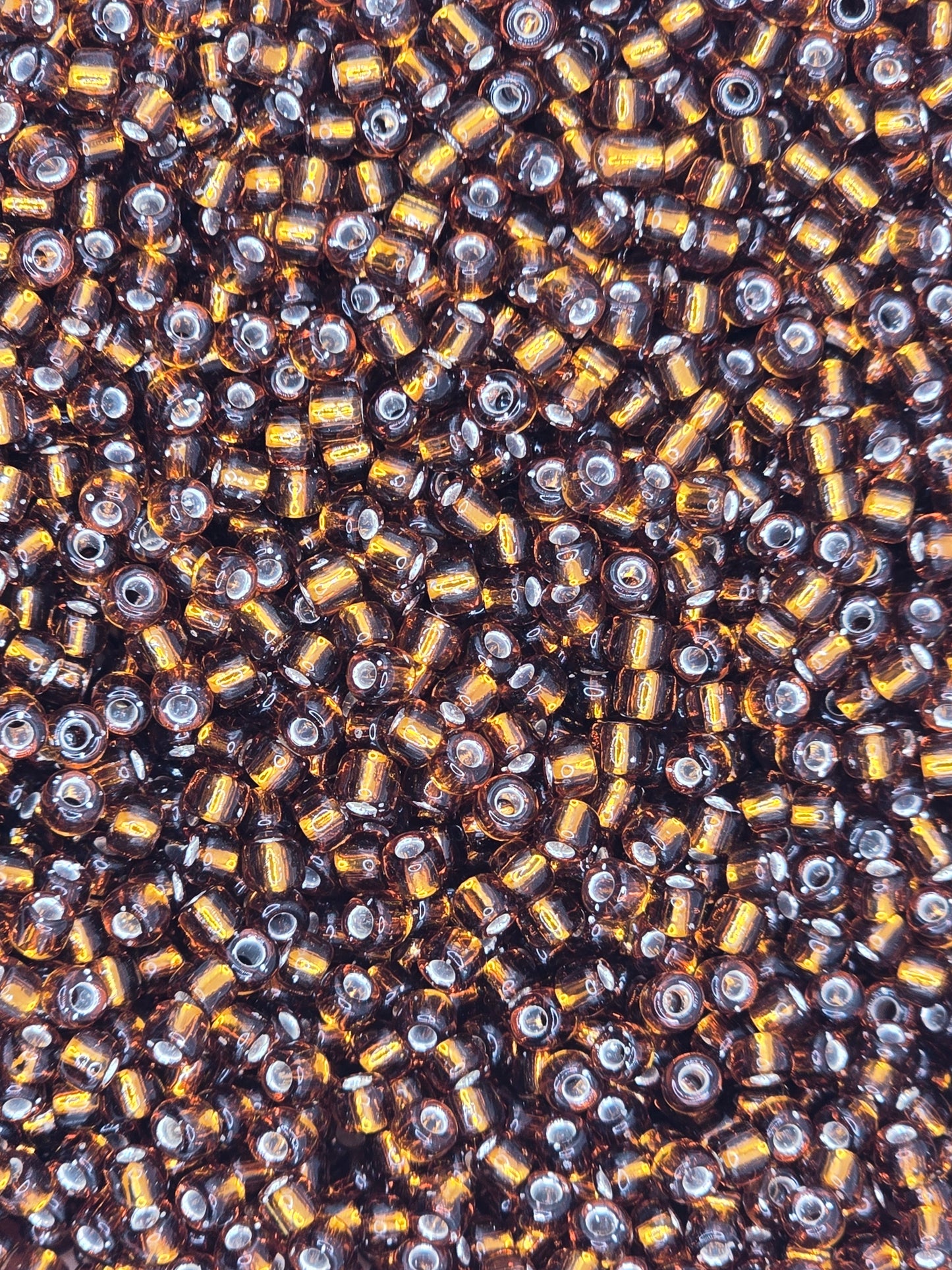 Czech #8 Seeds - Silver Lined Root Beer - 10 grams