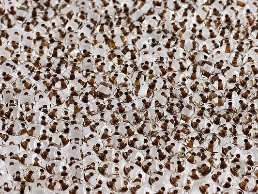 Matubo Superduo - 00030-44817 - Crystal Brown Lined - 10 gms