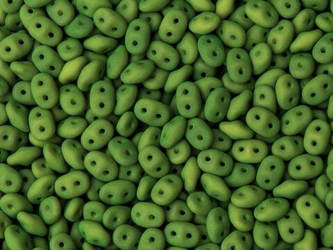 Matubo Superduo - 02010-29534 - Velvet Matte Lizard Green - 10 gms